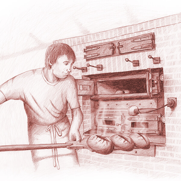 Otto Feinbäckerei Illustration